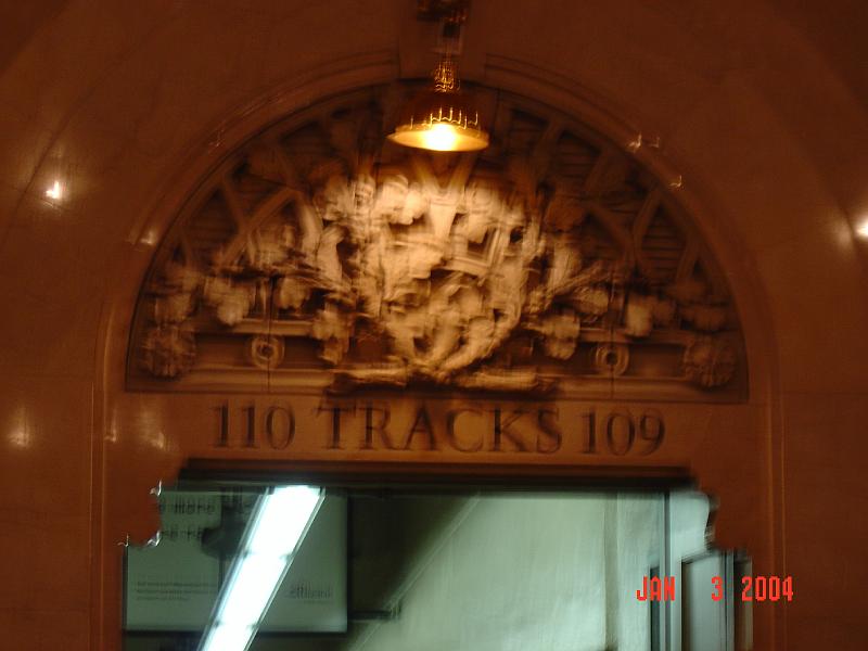 DSC00113.JPG