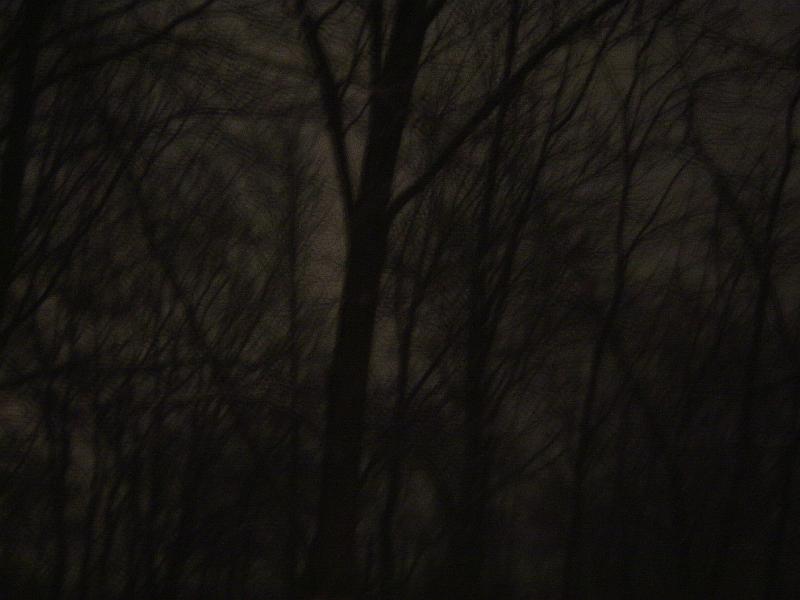DSC02966.JPG