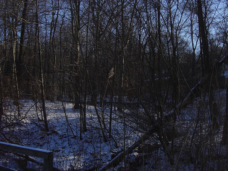 DSC02974.JPG
