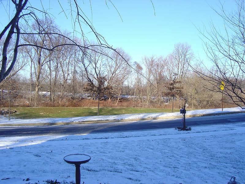 DSC02976.JPG