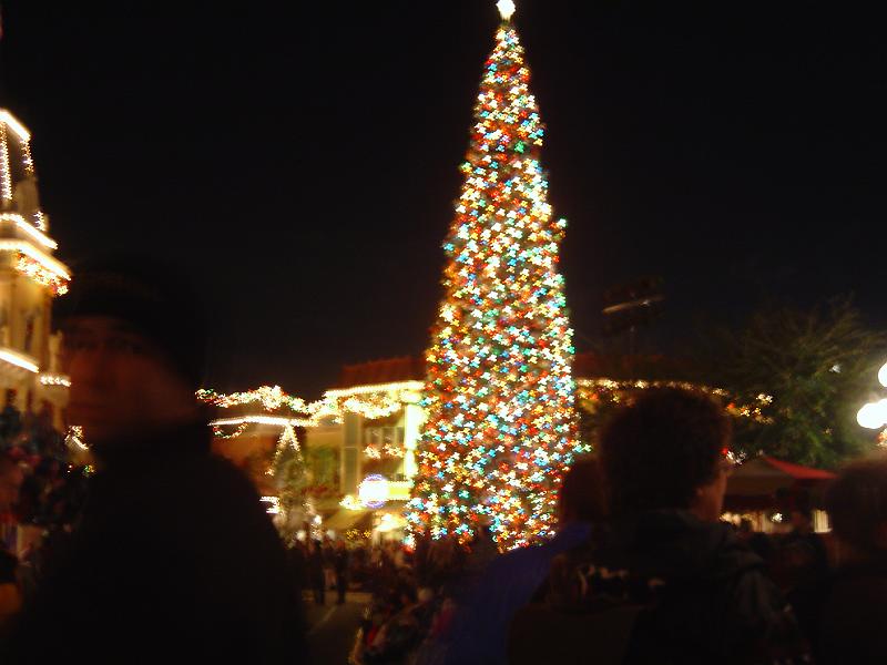 DSC02994.JPG