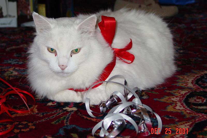 DSC00448.JPG