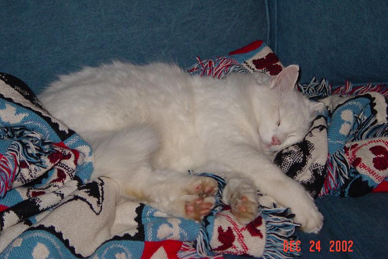 DSC01069.JPG