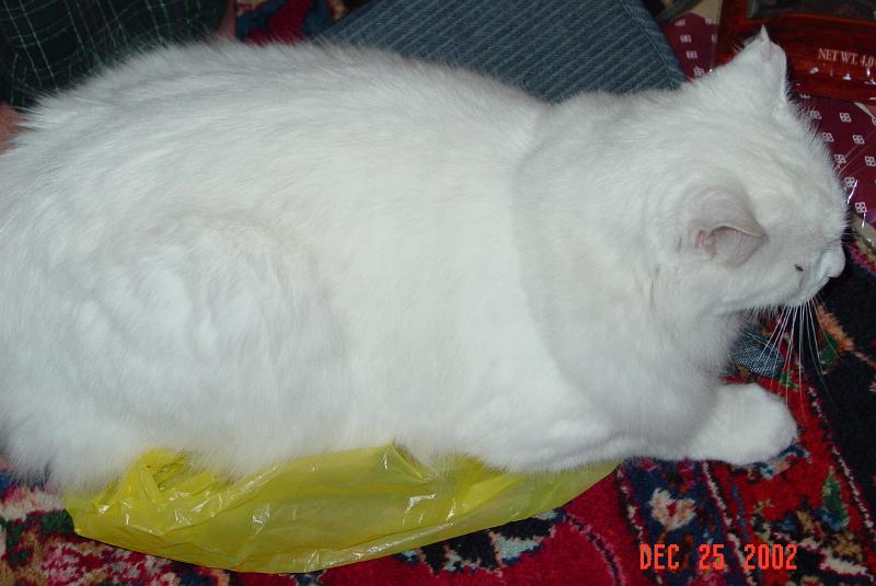 DSC01104.JPG