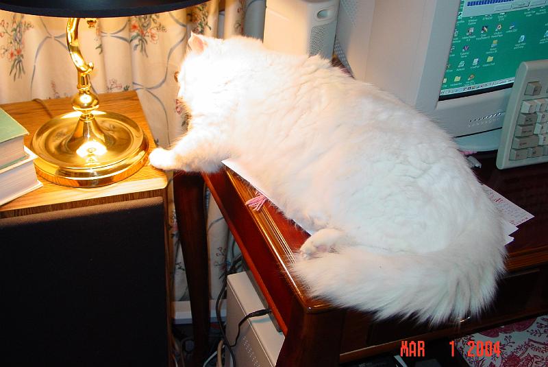 DSC02613.JPG