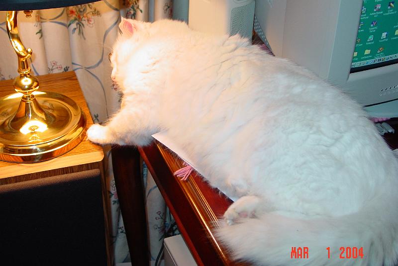 DSC02614.JPG