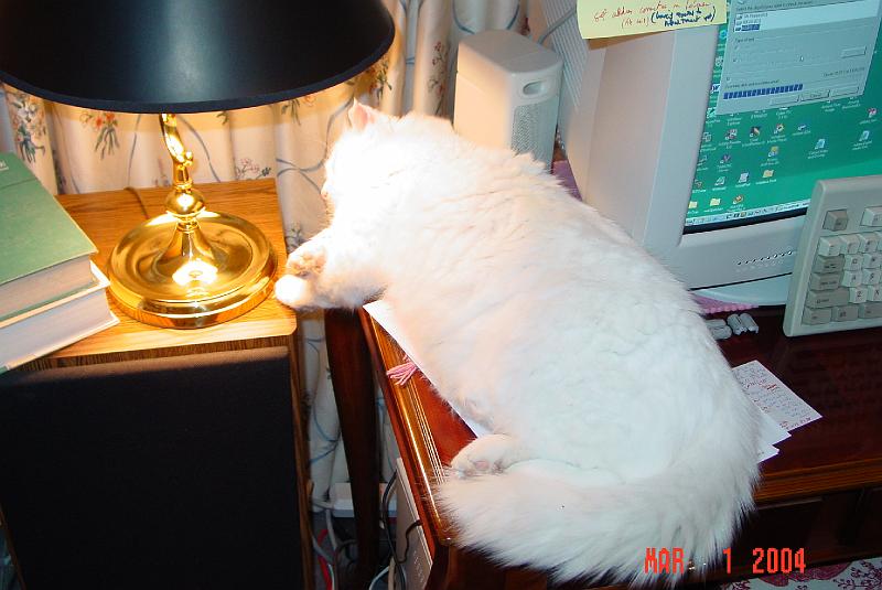 DSC02615.JPG
