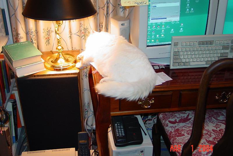 DSC02616.JPG