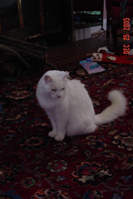 DSC04275.JPG
