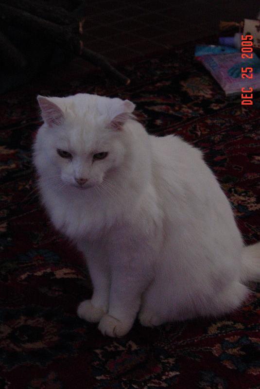 DSC04278.JPG