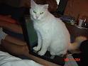 DSC01284
