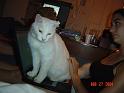 DSC01286
