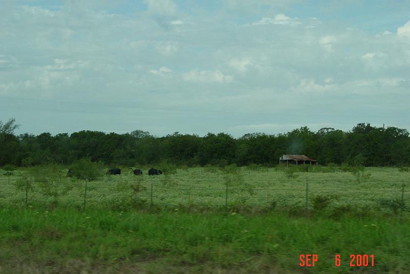 DSC00146.JPG