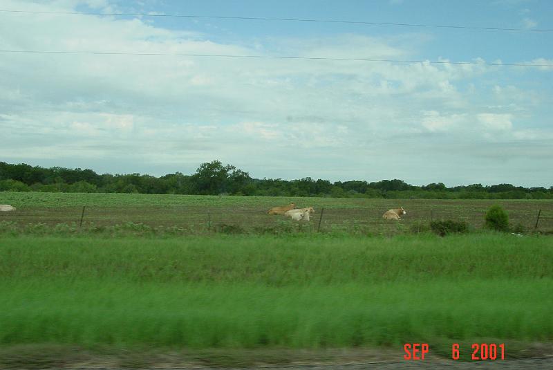 DSC00152.JPG