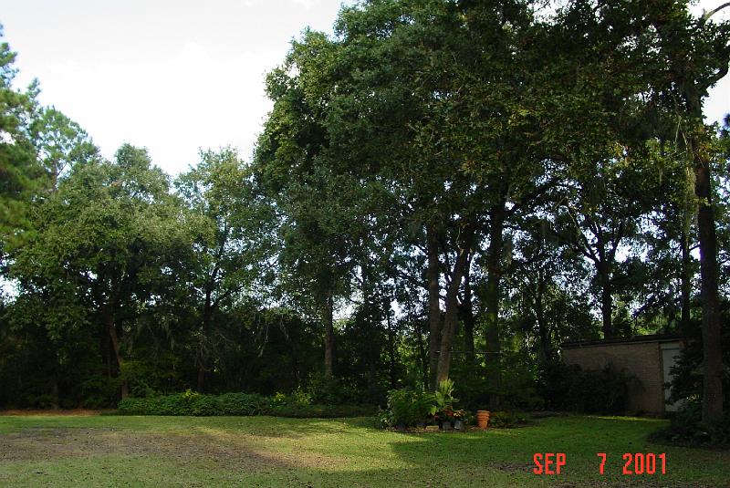 DSC00168.JPG