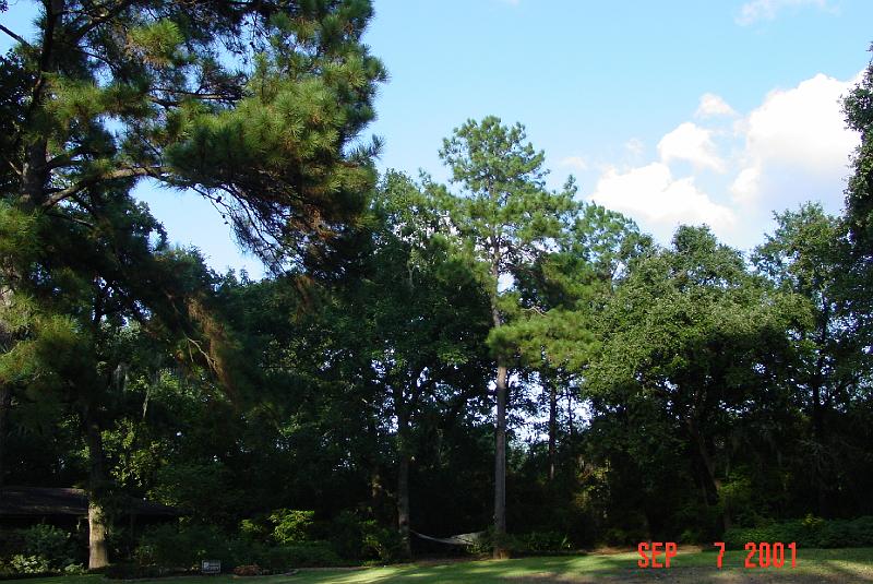 DSC00169.JPG
