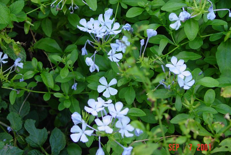 DSC00171.JPG