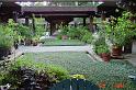 DSC00170
