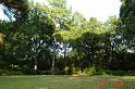 DSC00174