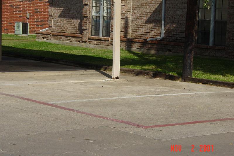 DSC00309.JPG