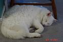 DSC00256