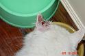 DSC00703