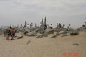DSC00840