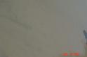 DSC00900