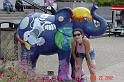 DSC00909