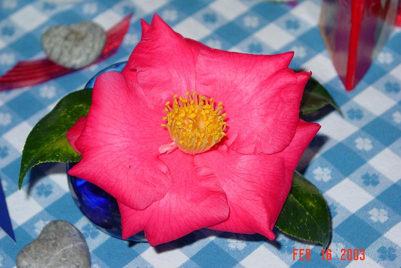 DSC01213.JPG