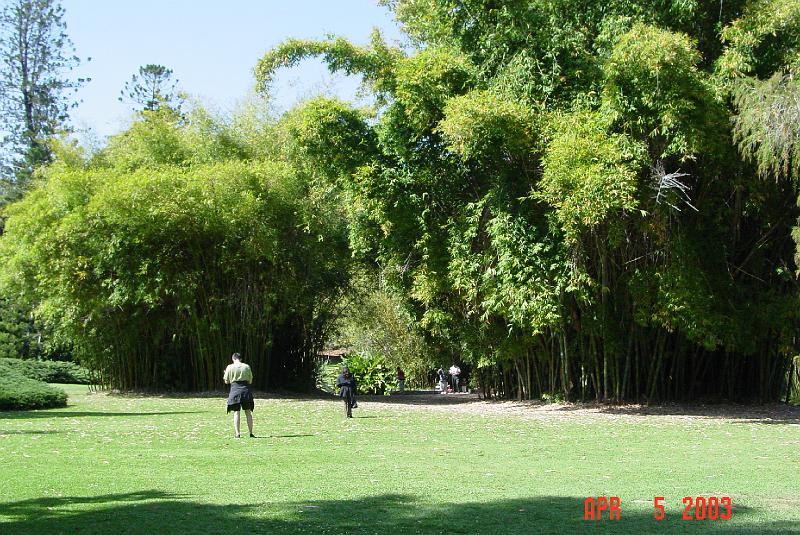 DSC01300.JPG