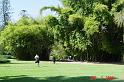 DSC01300