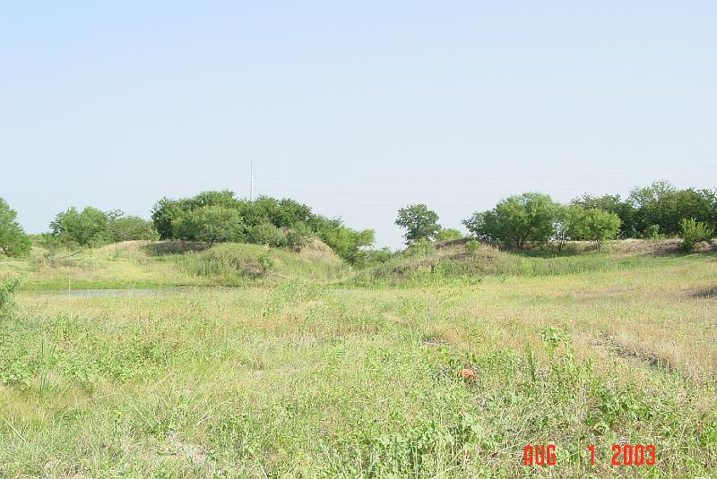 DSC02050.JPG