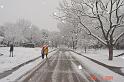 DSC02597A