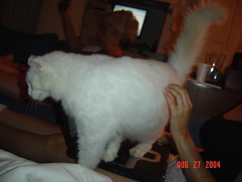 DSC01283.JPG