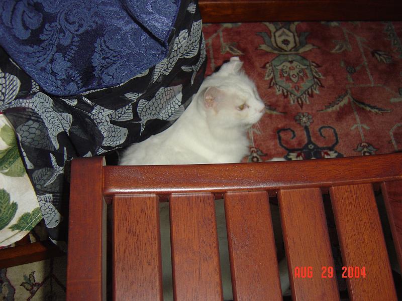 DSC01301.JPG