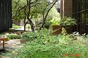 DSC03059
