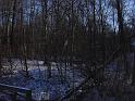 DSC02974