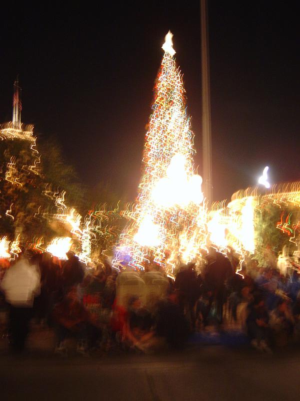 DSC02992.JPG