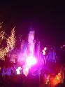 DSC03029