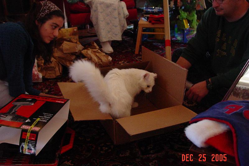 DSC04310.JPG