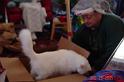 DSC04311