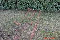 DSC04354