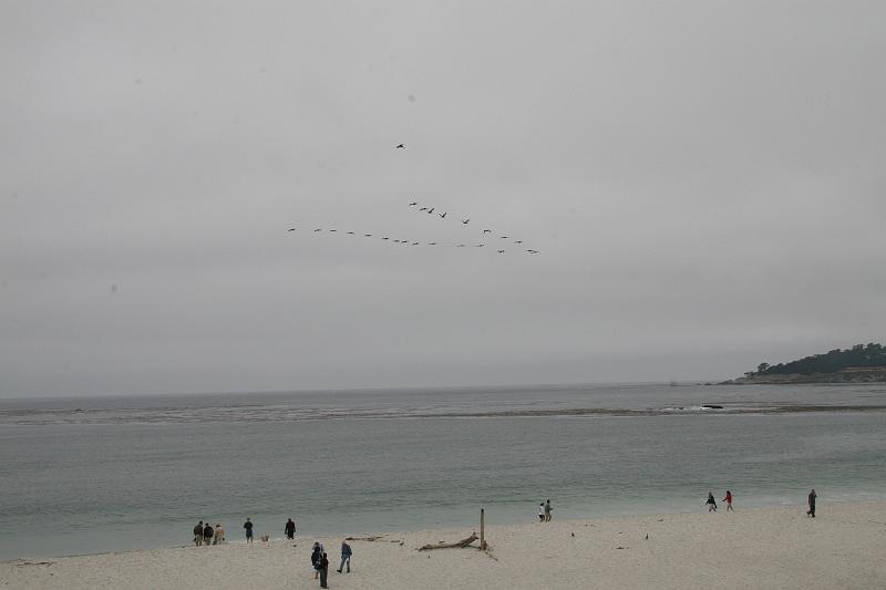 IMG_0452.JPG
