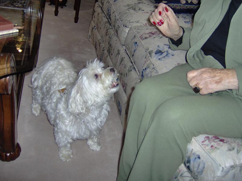 HPIM0366.JPG