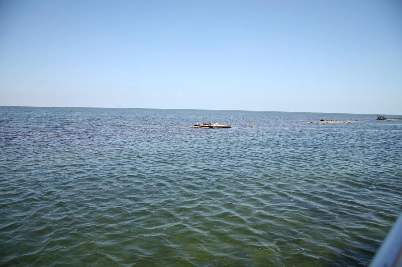 IMG_1200.JPG