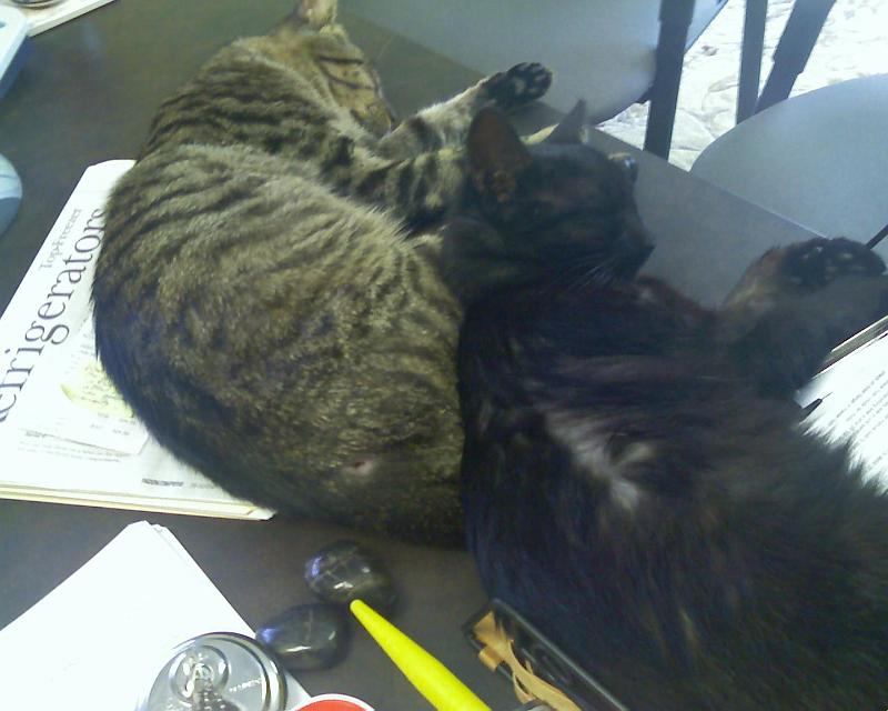 070628_165511.jpg