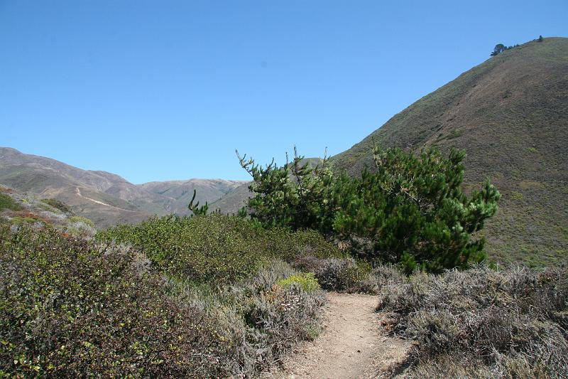 IMG_1828.JPG