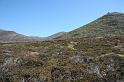 IMG_1795