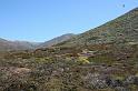 IMG_1796